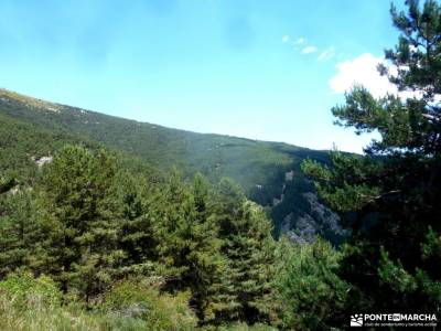 Chorro,Chorrera San Mamés_Valle del Lozoya;campos de lavanda brihuega lagos andorra refugio de resp